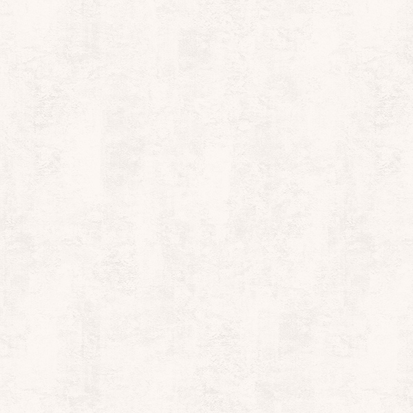 60640-03 Архитектор обои флизелиновые 1,06*10м/6