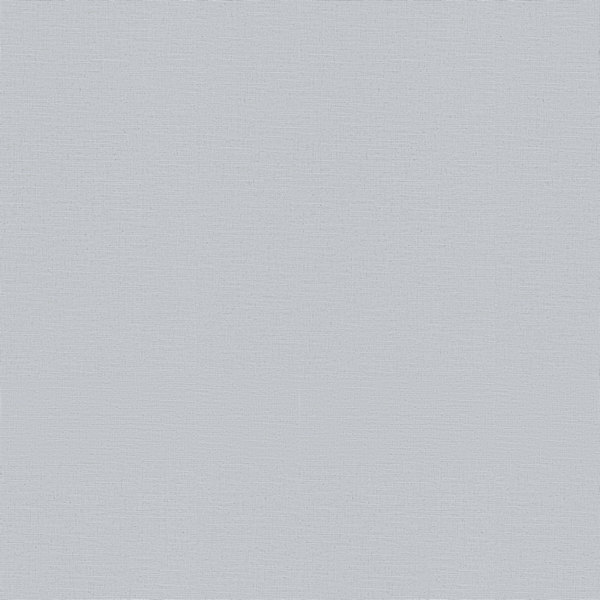 12143-31 P+S обои флизелиновые 1,06*10м/6