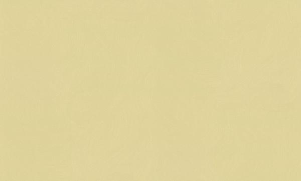 HC71580-17 Home Color обои флизелиновые 1,06*10м/8