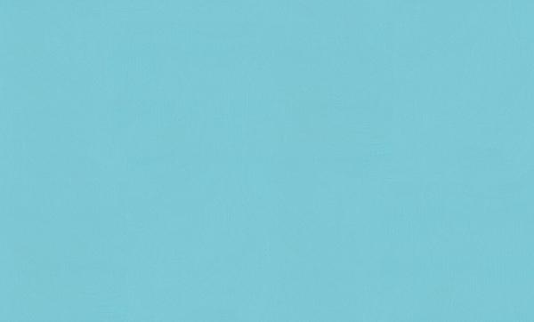 HC71580-61 Home Color обои флизелиновые 1,06*10м/8