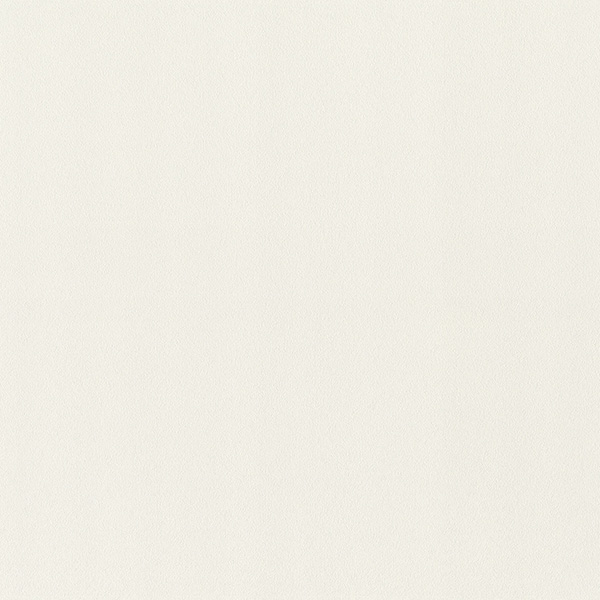 980301 Rasch Освежись обои флизелиновые 1,06*10м/6