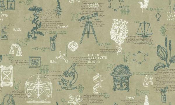 6050-10 Eurodecor Deco Group обои флизелиновые 1,06*10м/6