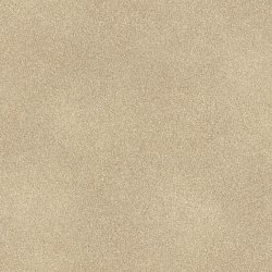 973044 Rasch Fiesta обои флизелиновые 1,06*10м/6