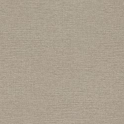 970647 Rasch Jolly обои флизелиновые 1,06*10м/6